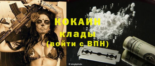 COCAINE Богородицк